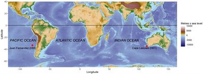 Seasonal Occurrence of Sympatric Blue Whale Subspecies: the Chilean and Southeast Indian Ocean Pygmy Blue Whales With the Antarctic Blue Whale